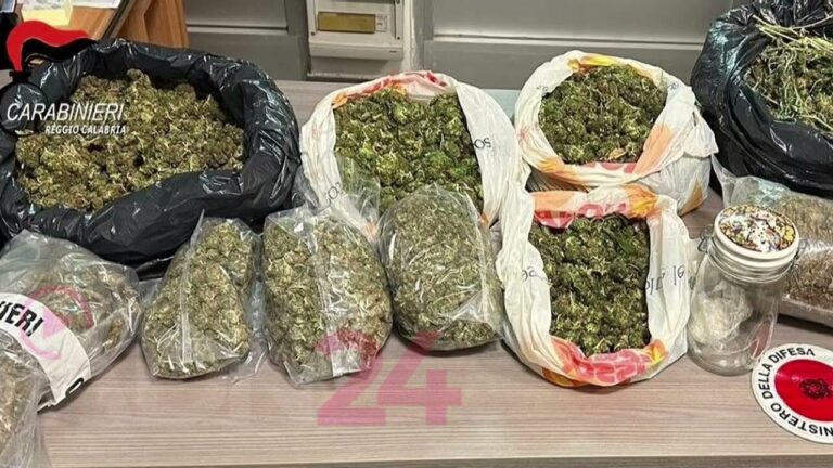 Trovato in casa con 10 chili di marijuana: arrestato 19enne